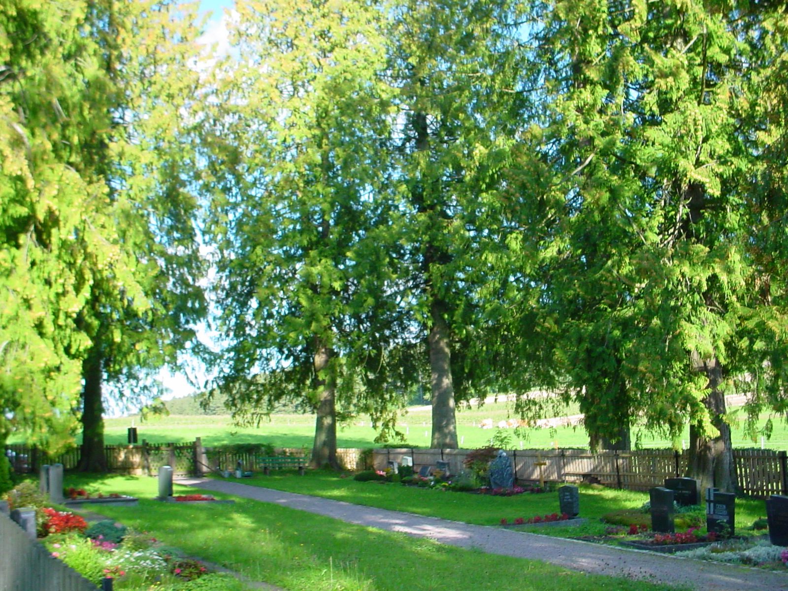  Friedhof Neu-Nuifra 